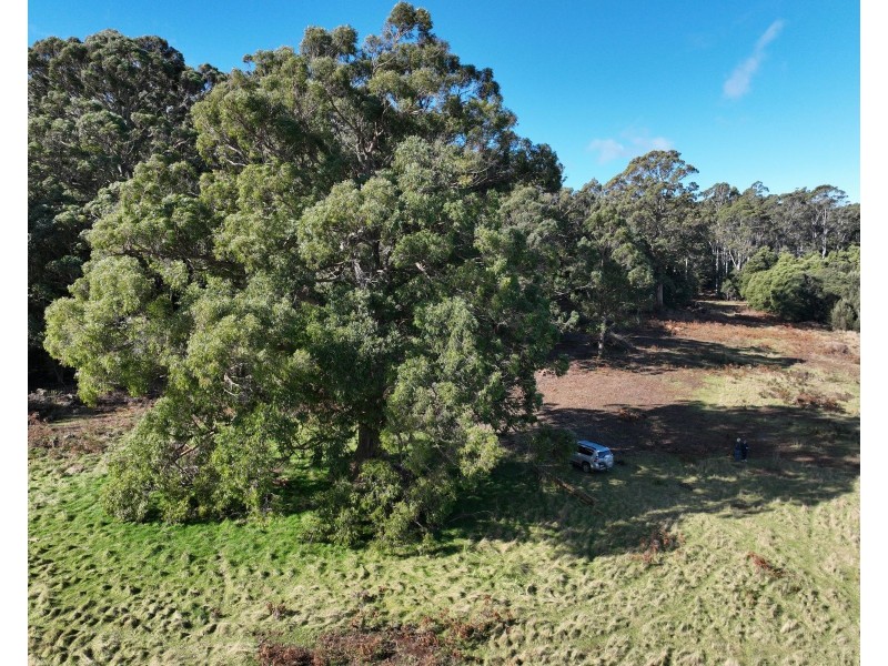 90 Samuel Street, Elizabeth Town TAS 7304