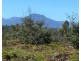 Lot 2 Wadleys Road, Reedy Marsh TAS 7304