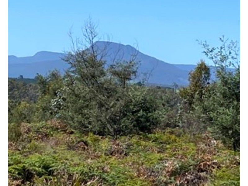 Lot 2 Wadleys Road, Reedy Marsh TAS 7304