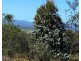 Lot 2 Wadleys Road, Reedy Marsh TAS 7304