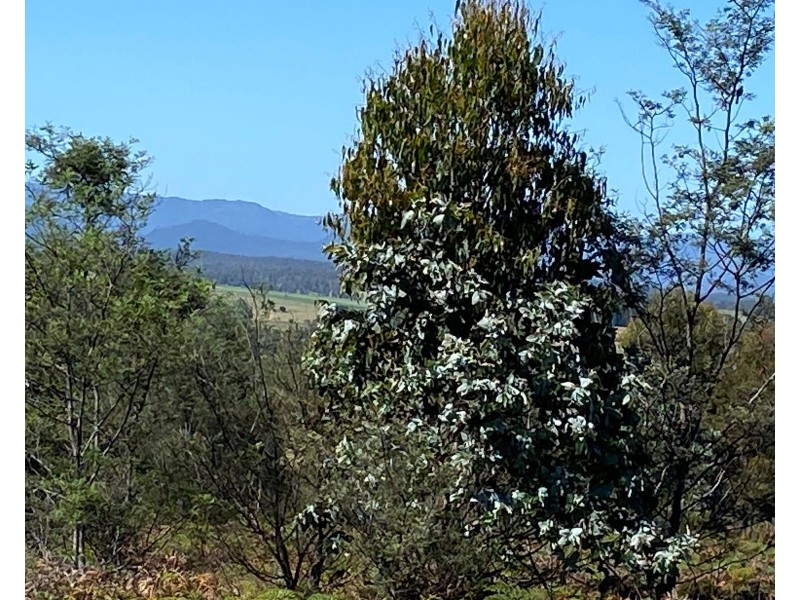 Lot 2 Wadleys Road, Reedy Marsh TAS 7304