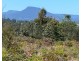 Lot 2 Wadleys Road, Reedy Marsh TAS 7304