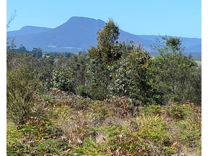 Lot 2 Wadleys Road, Reedy Marsh TAS 7304