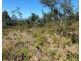 Lot 2 Wadleys Road, Reedy Marsh TAS 7304