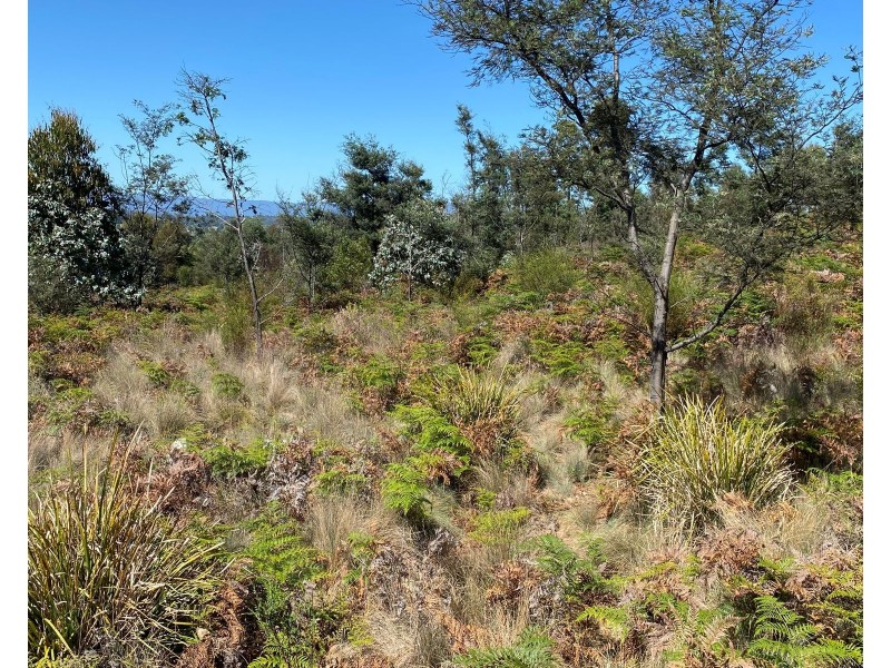 Lot 2 Wadleys Road, Reedy Marsh TAS 7304