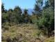 Lot 2 Wadleys Road, Reedy Marsh TAS 7304