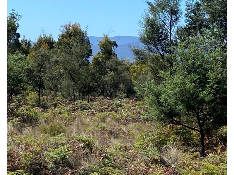 Lot 2 Wadleys Road, Reedy Marsh TAS 7304