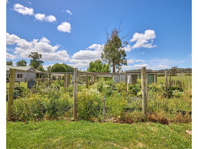 954 Caveside Road, Caveside TAS 7304