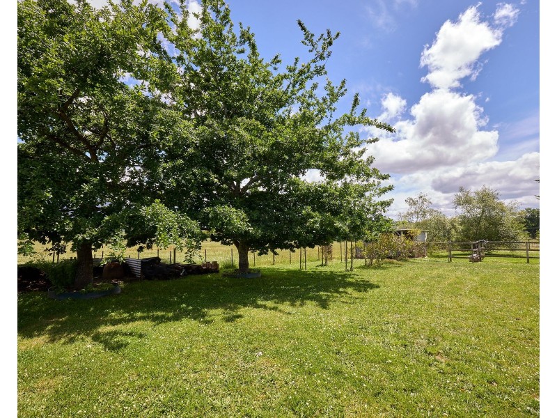 954 Caveside Road, Caveside TAS 7304