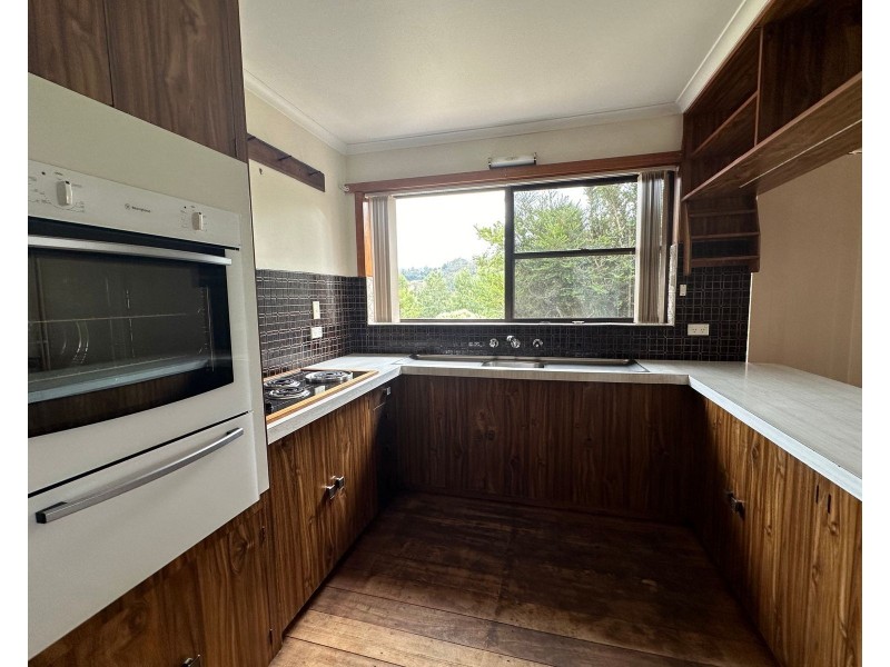 28 McNeill Street, Mole Creek TAS 7304