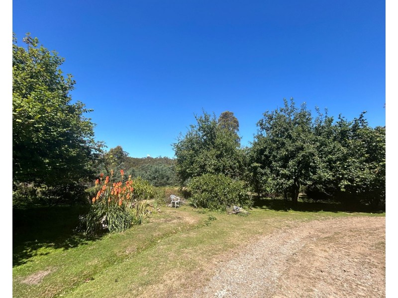 212 Farrells Road, Reedy Marsh TAS 7304