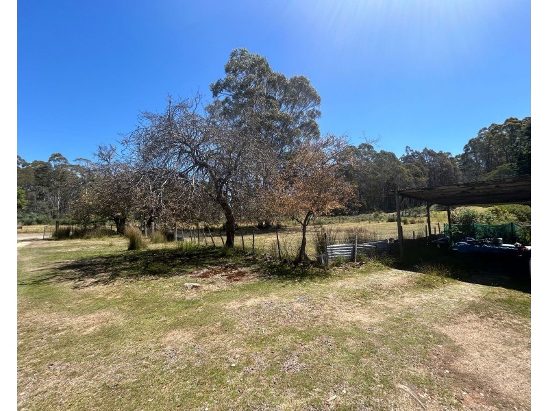 212 Farrells Road, Reedy Marsh TAS 7304