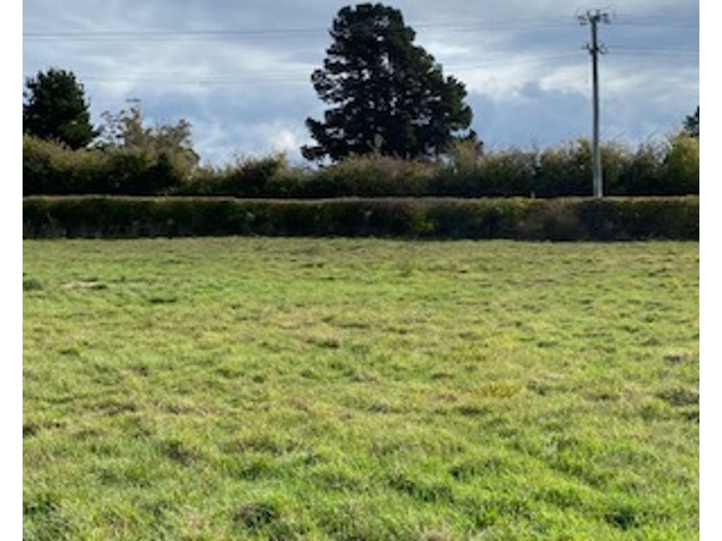 27 Mary Street, Westbury TAS 7303