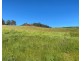 550 Liena Road, Mole Creek TAS 7304