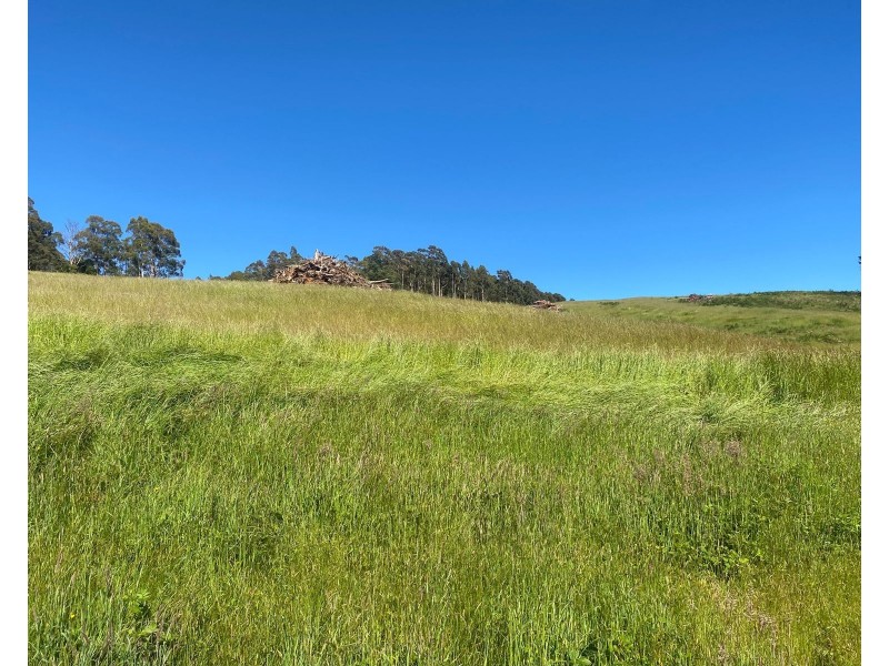 550 Liena Road, Mole Creek TAS 7304