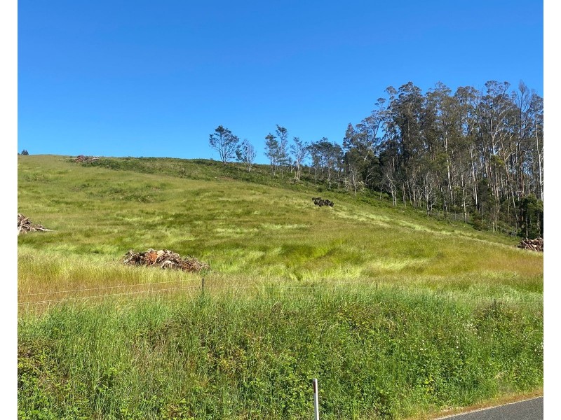 550 Liena Road, Mole Creek TAS 7304