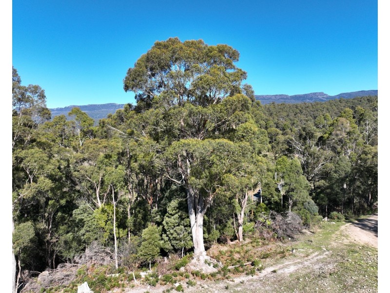 550 Liena Road, Mole Creek TAS 7304