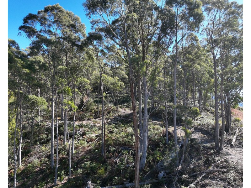 550 Liena Road, Mole Creek TAS 7304