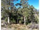 550 Liena Road, Mole Creek TAS 7304