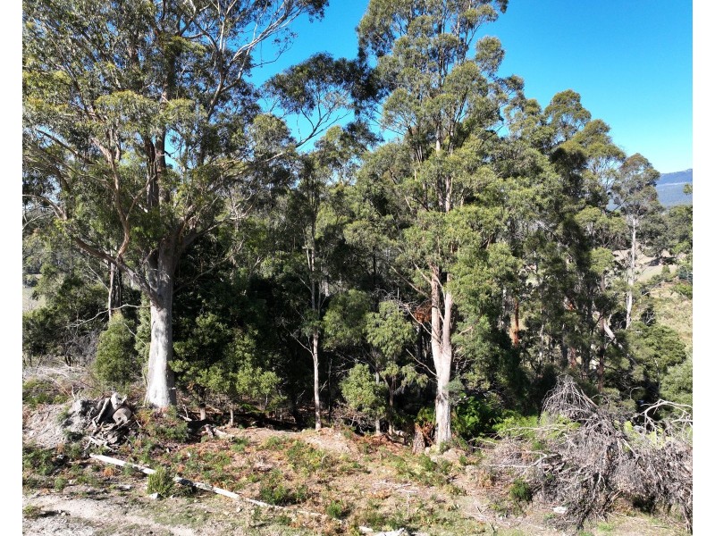 550 Liena Road, Mole Creek TAS 7304