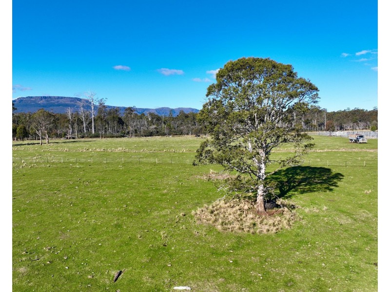 560 Gads Hill Road, Mersey Forest TAS 7304