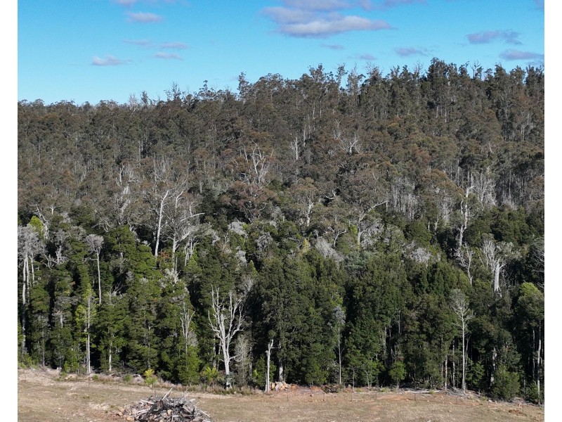 560 Gads Hill Road, Mersey Forest TAS 7304