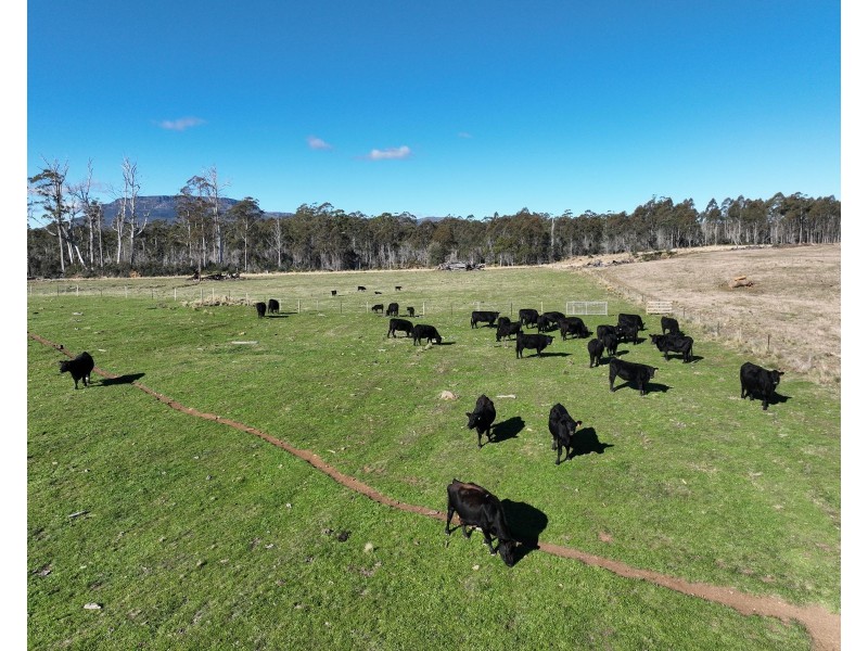 560 Gads Hill Road, Mersey Forest TAS 7304