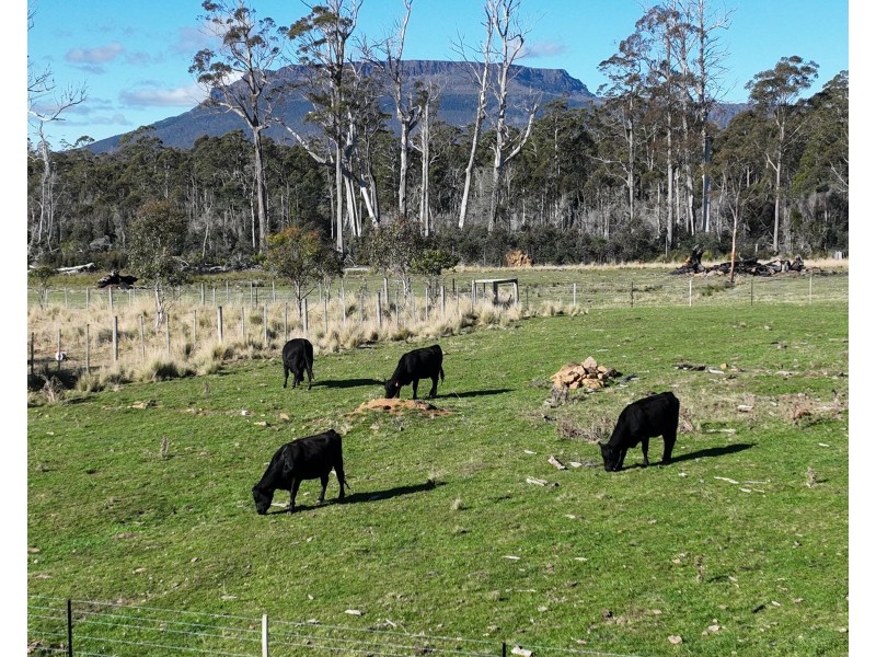 560 Gads Hill Road, Mersey Forest TAS 7304