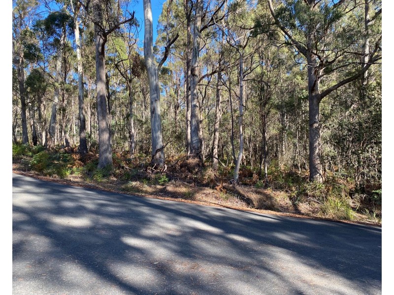 Lot 1 River Road, Reedy Marsh TAS 7304