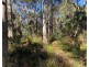 Lot 1 River Road, Reedy Marsh TAS 7304