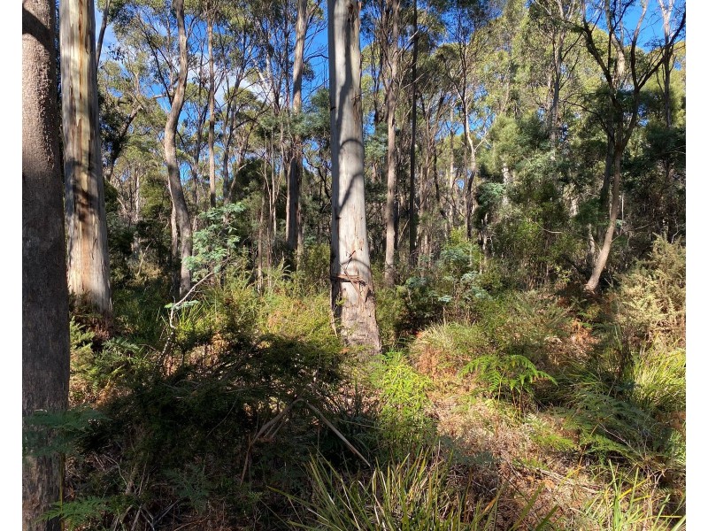 Lot 1 River Road, Reedy Marsh TAS 7304