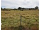 6 Robert Street, Exton TAS 7303