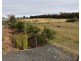 6 Robert Street, Exton TAS 7303
