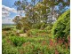 135 Fern Bank Road, Osmaston TAS 7303