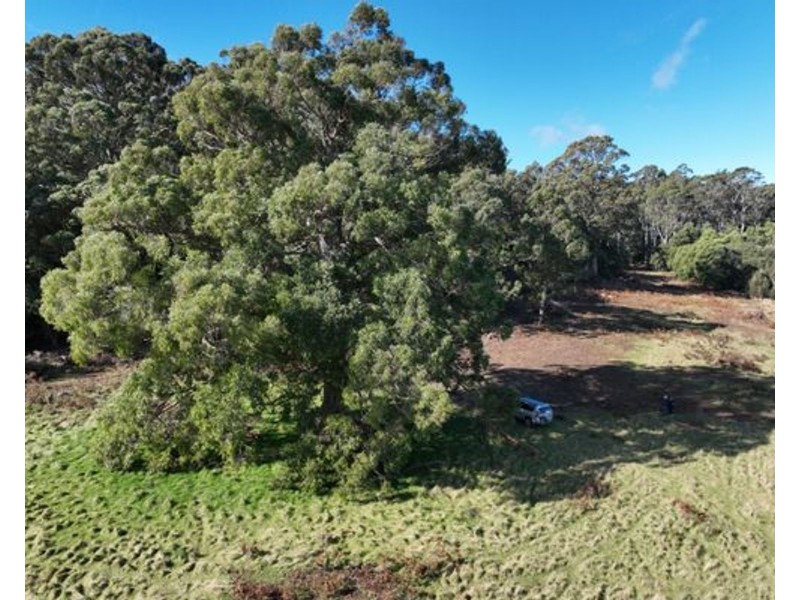 Lot 1 Samuel Street, Elizabeth Town TAS 7304