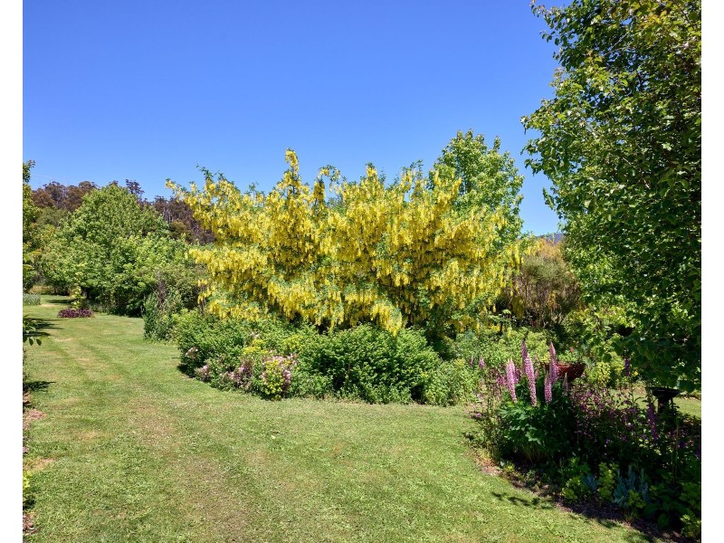 51 Whiteleys Road, Meander TAS 7304