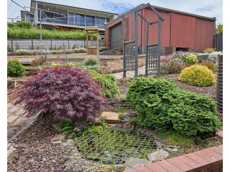 58 West Church Street,, Deloraine TAS 7304