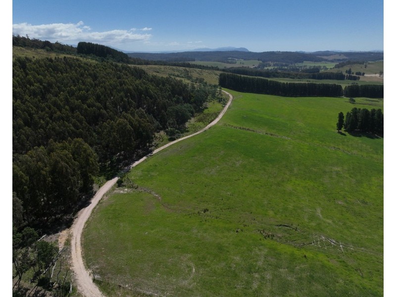 170 Wandilla Road, Quamby Brook TAS 7304