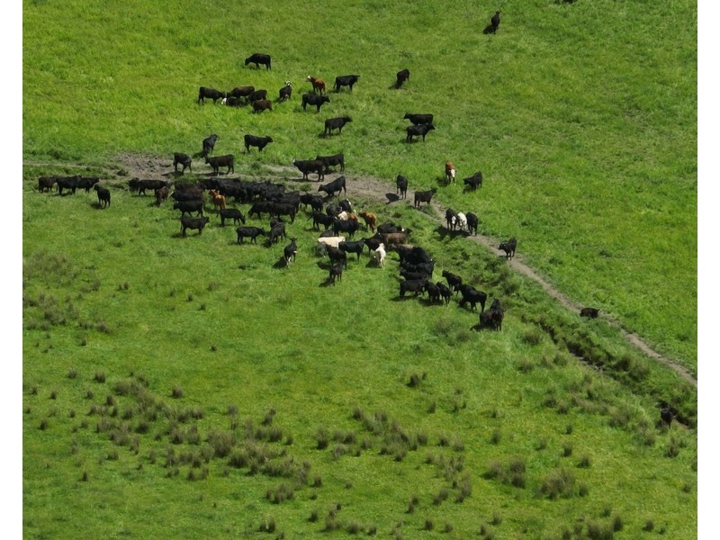 170 Wandilla Road, Quamby Brook TAS 7304