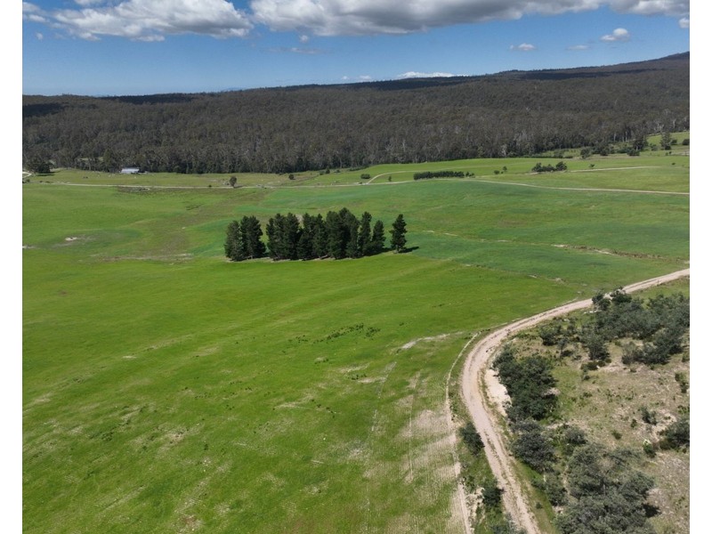 170 Wandilla Road, Quamby Brook TAS 7304