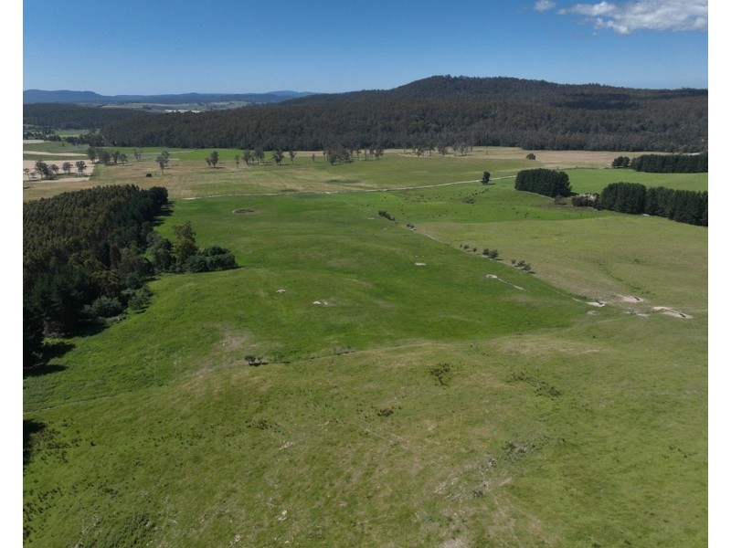 170 Wandilla Road, Quamby Brook TAS 7304