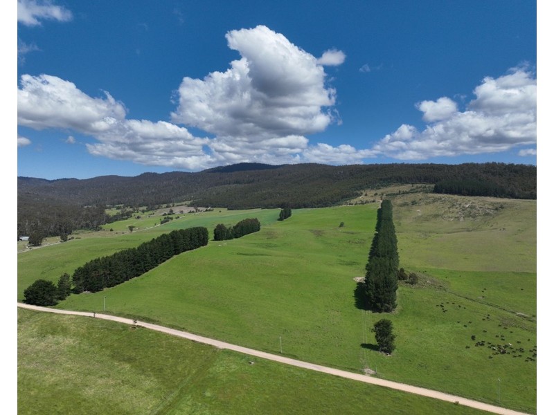 170 Wandilla Road, Quamby Brook TAS 7304