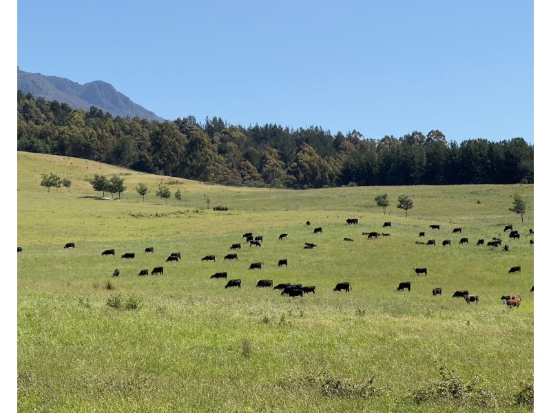 170 Wandilla Road, Quamby Brook TAS 7304