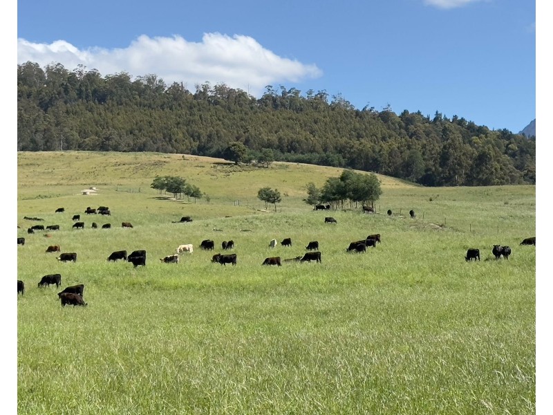 170 Wandilla Road, Quamby Brook TAS 7304