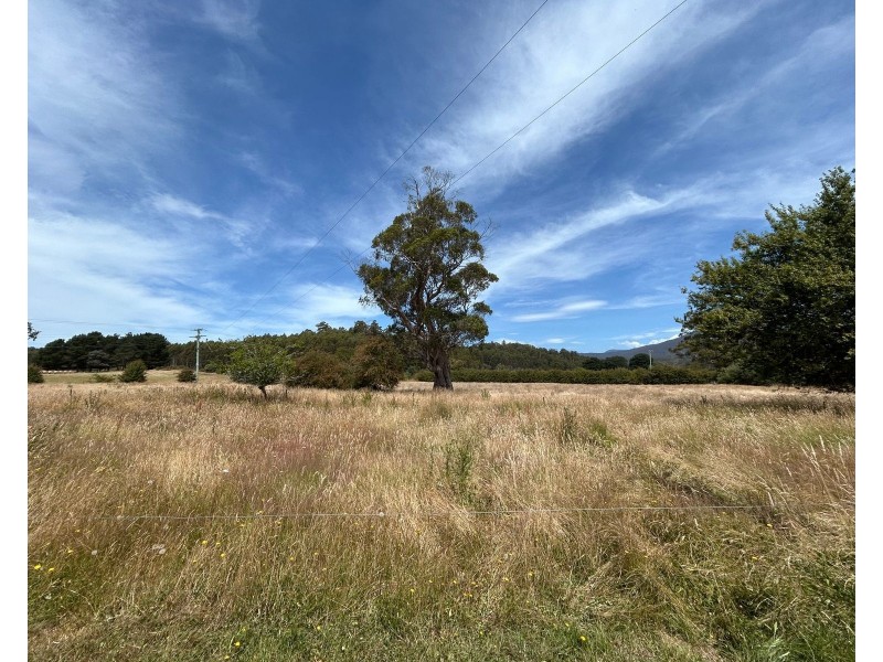 488 Bogan Road, Quamby Brook TAS 7304