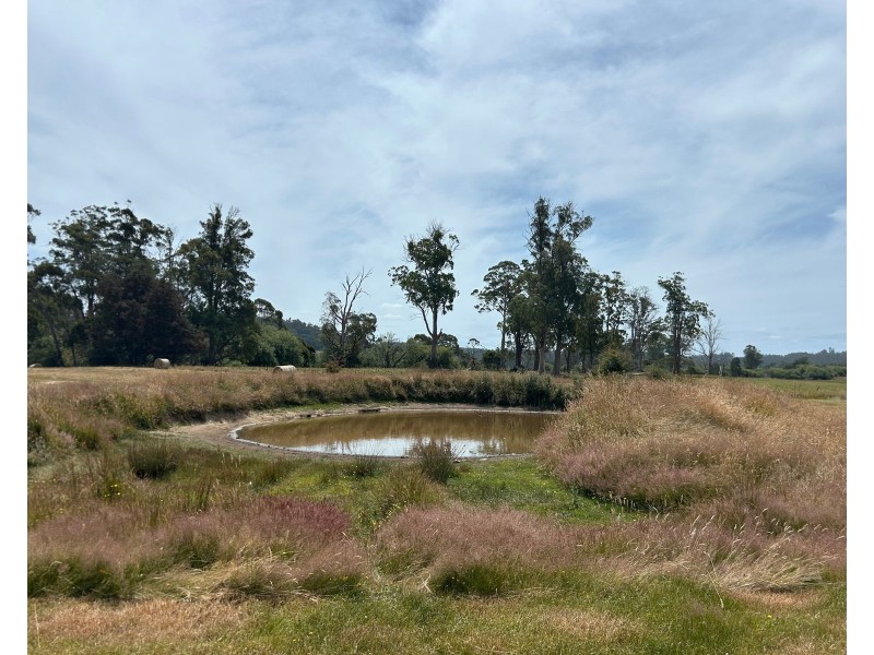 488 Bogan Road, Quamby Brook TAS 7304