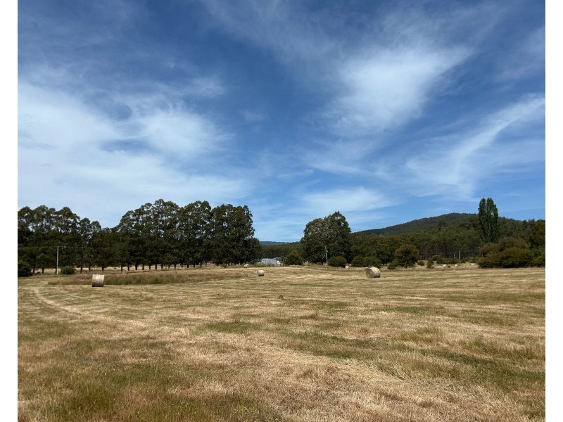 488 Bogan Road, Quamby Brook TAS 7304