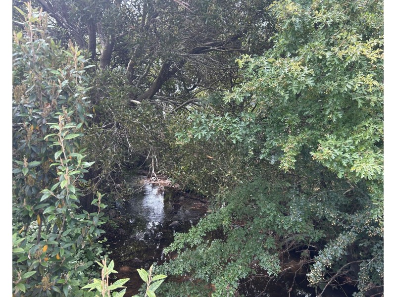 488 Bogan Road, Quamby Brook TAS 7304