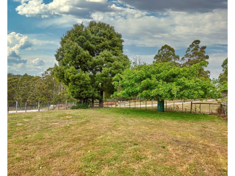 520 Bradys Plain Road, Parkham TAS 7304