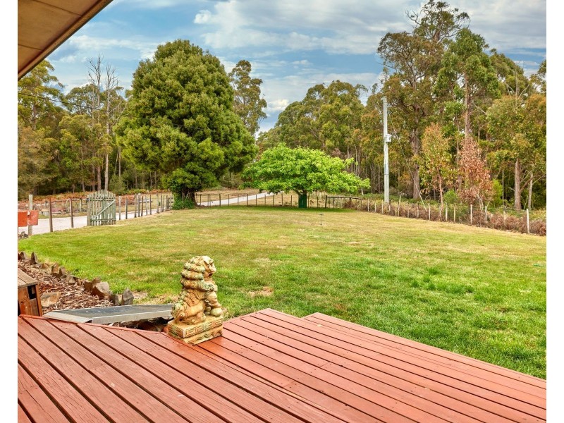520 Bradys Plain Road, Parkham TAS 7304
